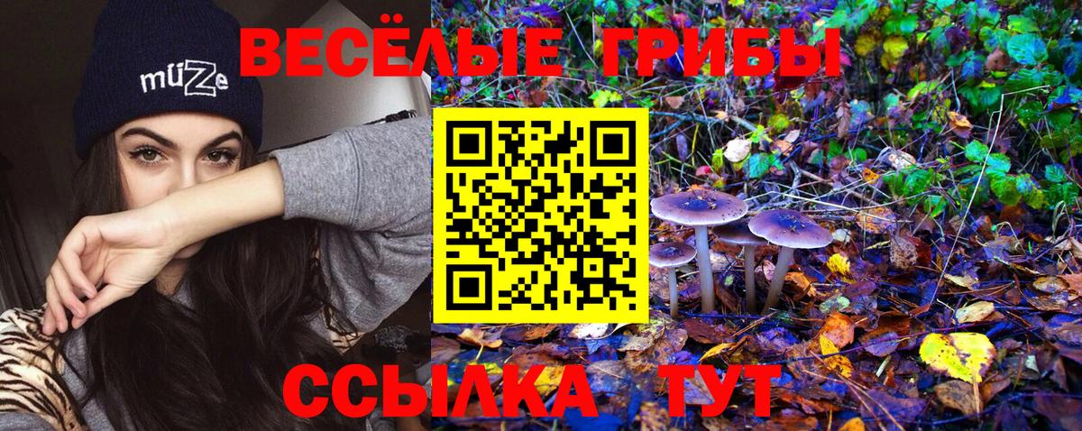 Галлюциногенные грибы Cubensis Нальчик