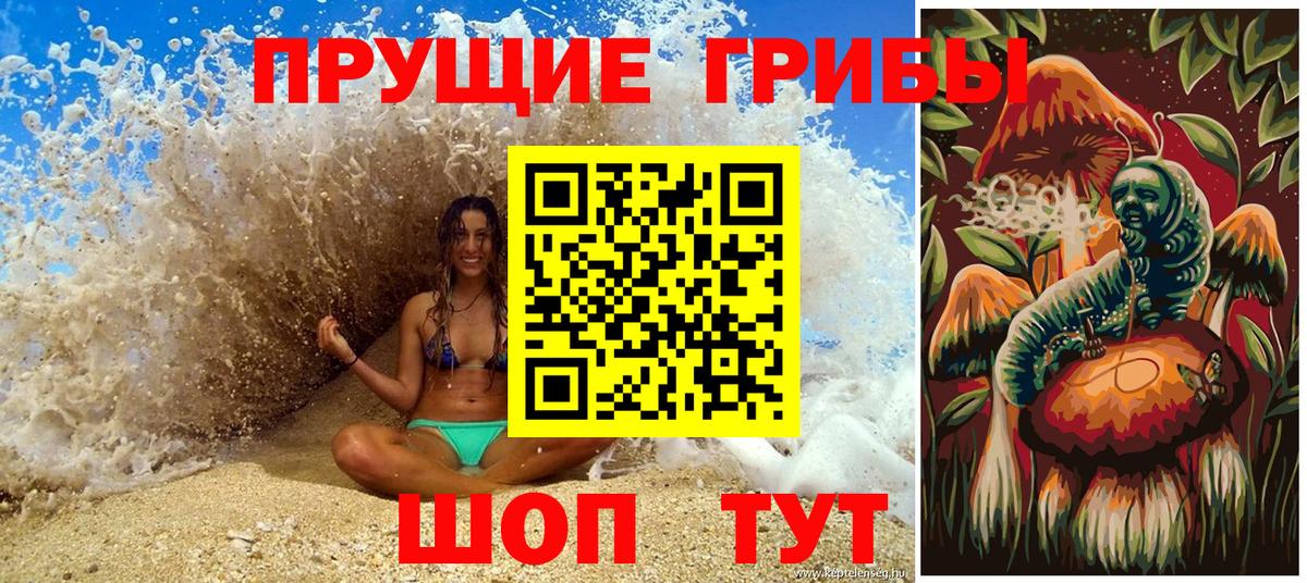 Псилоцибиновые грибы Cubensis  Вход с VPN  Галлюциногенные грибы Magic Shrooms  Нальчик 